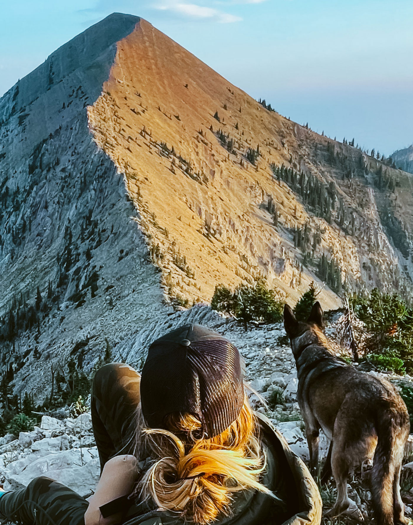 Generic Content Banner